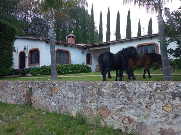 Cabaña Cipreses - Imagen 3